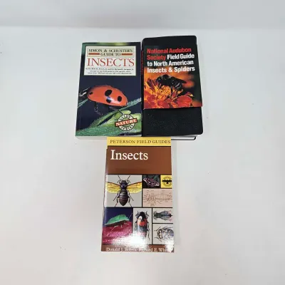 Sale Photo Thumbnail #255