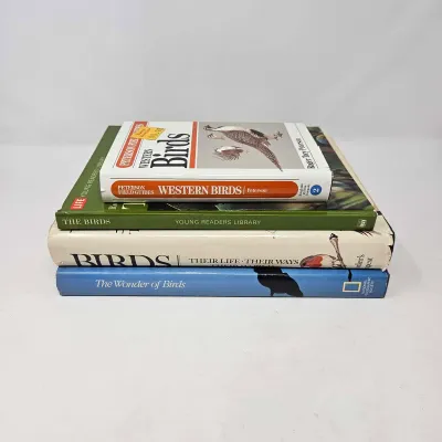 Sale Photo Thumbnail #233