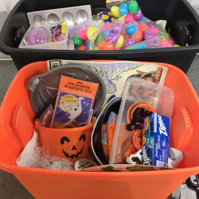 Seasonal Mystery Lot