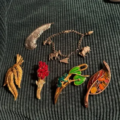 Assorted Decorative Brooch Set