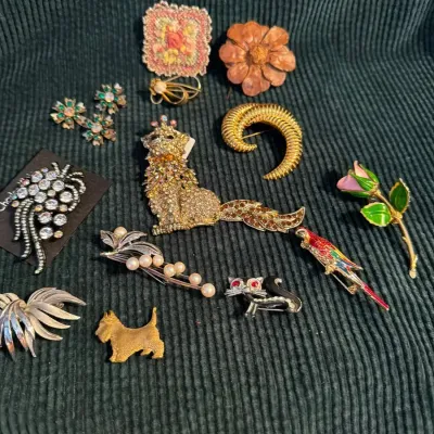 Assorted Costume Brooches 15 Pieces