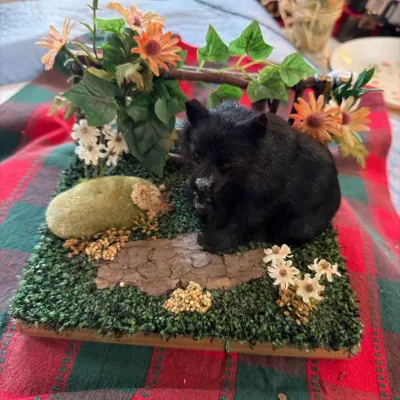 Fur-Covered Black Bear Cub Woodland Diorama