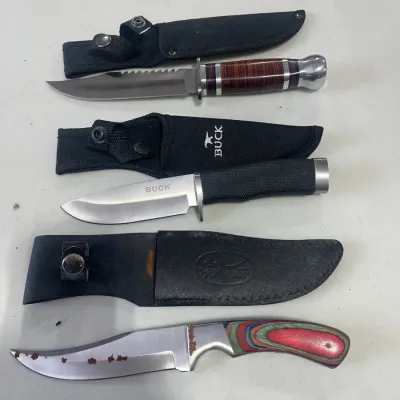 Sale Photo Thumbnail #149: Collection of three fixed-blade hunting knives with matching sheaths, including a Buck brand knife and one with a colorful pakkawood handle.