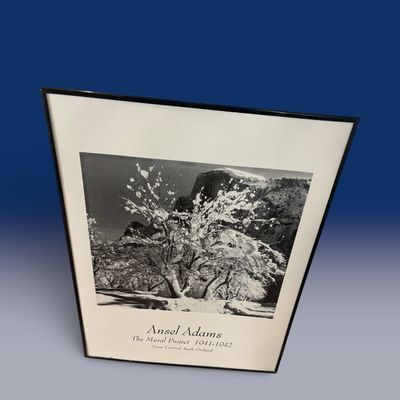 Sale Photo Thumbnail #72