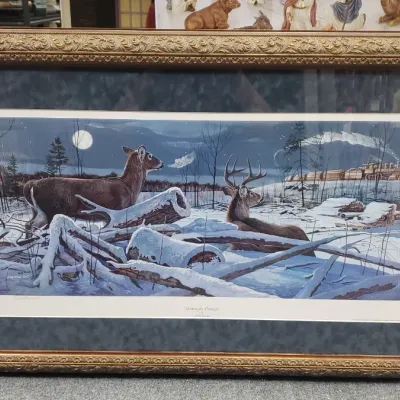 Sale Photo Thumbnail #89