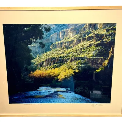Sale Photo Thumbnail #159