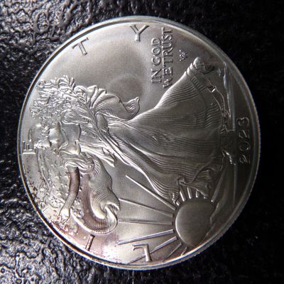 2023 AMERICAN SILVER EAGLE DOLLAR