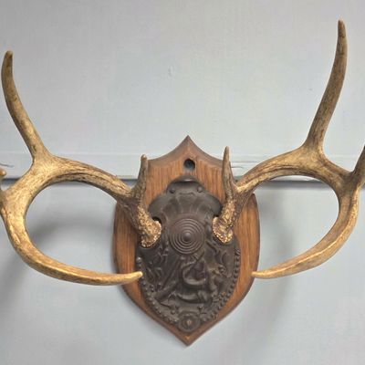 Sale Photo Thumbnail #51: Victorian Cast Iron Deer Antler Wall Mount
