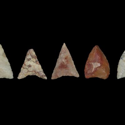 Sale Photo Thumbnail #564: Lot of African Neolithic Arrowheads, Sahara Desert