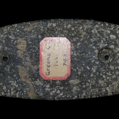 4 1/8" Hardstone Gorget, Motley COA, Greene Co., Illinois