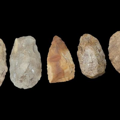 Sale Photo Thumbnail #244: Lot of 5 Flint Celts & Blades, St. Charles Co., Missouri, Found by Ron Knowles