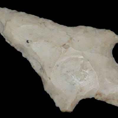 Sale Photo Thumbnail #114: 3 3/16" Dickson, St. Charles Co., Missouri, Found by Ronald Knowles