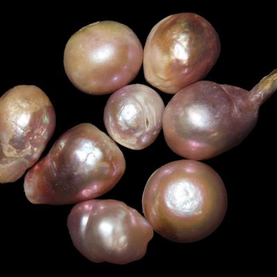 Sale Photo Thumbnail #313: Lot of 8 Freshwater Pearls, Found in Shells Along the Mississippi River by Ronald Knowles