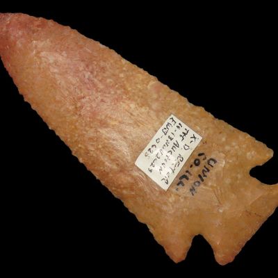 4 1/16" Knobbed Hardin, T&T COA, Colorful Kaolin Chert, Union Co., Illinois, Ex. Dean Mesnard, Ex. D. Rector