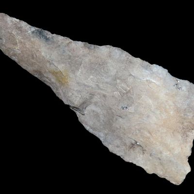 2 1/4" Dalton Drill, St. Charles Co., Missouri, Found by Ronald Knowles