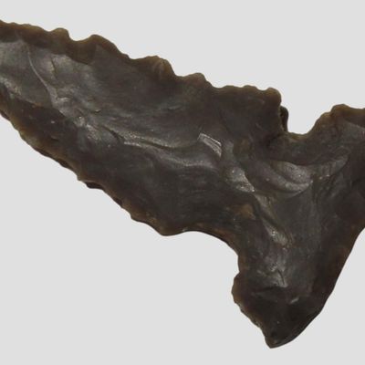 Sale Photo Thumbnail #369: Serrated Bird Point, St. Charles Co., Missouri, Found by Ronald Knowles