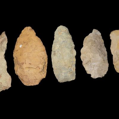 Sale Photo Thumbnail #232: Lot of 5 Flint Celts & Blades, St. Charles Co., Missouri, Found by Ron Knowles
