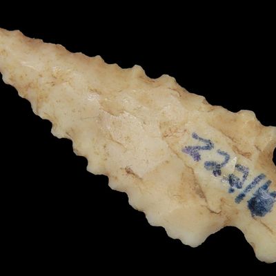 Sale Photo Thumbnail #226: Serrated Cahokia Bird Point, St. Louis Area, Found by Ron Knowles