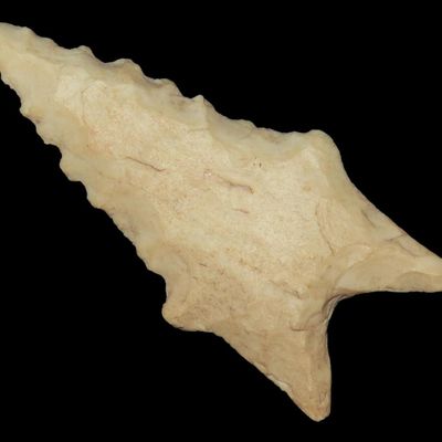 1 3/4" Dalton, St. Charles Co., Missouri, Found by Ronald Knowles