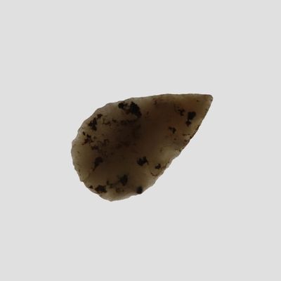 Sale Photo Thumbnail #621: Translucent Agate Leaf Blade Bird Point, New Mexico