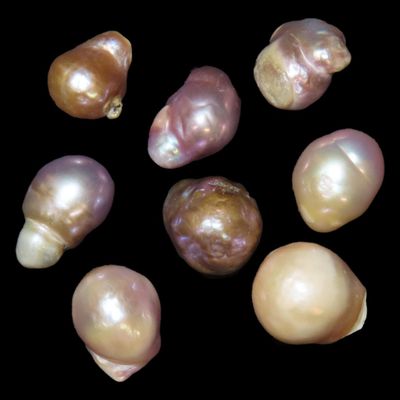 Sale Photo Thumbnail #213: Lot of 8 Freshwater Pearls, Found in Shells Along the Mississippi River by Ron Knowles