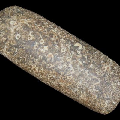 Sale Photo Thumbnail #108: 3" Adze / Celt, Fossil-Filled Porphyry Hardstone, St. Charles Co., Missouri, Found by Ronald Knowles