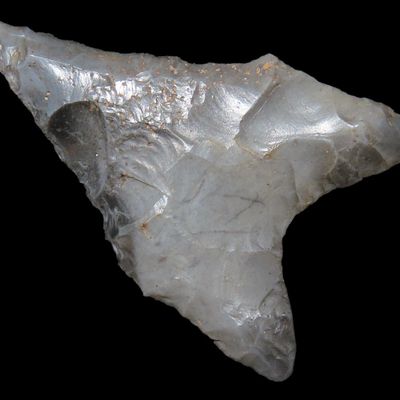 1 1/2" Dalton, St. Charles Co., Missouri, Found by Ronald Knowles
