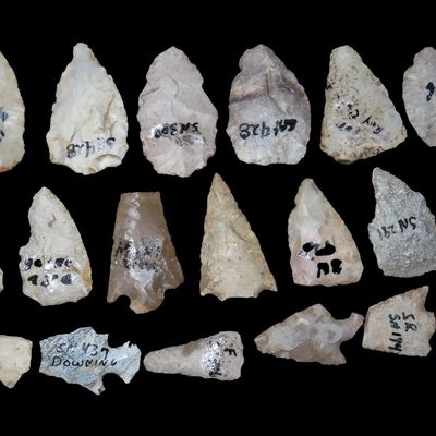 Sale Photo Thumbnail #184: Lot of Bird Points / Arrowheads, St. Charles Co., Missouri, Found by Ronald Knowles