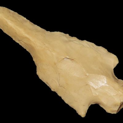 2 3/8" Winged Drill, St. Charles Co., Missouri, Found by Ronald Knowles