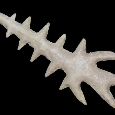 Sale Photo Thumbnail #112: 3 3/8" Tussinger Flint Eccentric, Oklahoma, Early 1900s Artistic Example