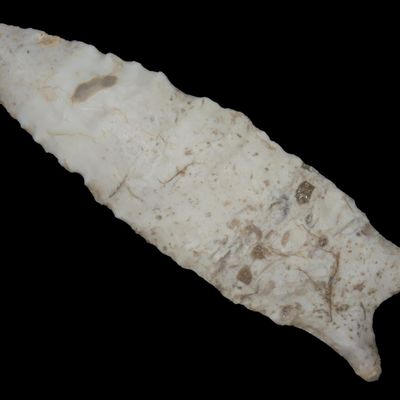 4 5/16" Dalton, St. Charles Co., Missouri, Found by Ronald Knowles, Outstanding Example