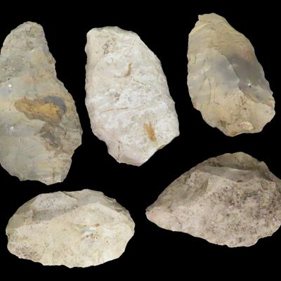 Sale Photo Thumbnail #264: Lot of 5 Flint Celts & Blades, St. Charles Co., Missouri, Found by Ron Knowles