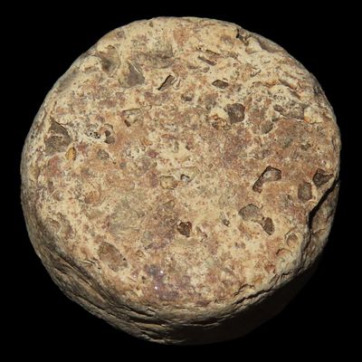 Sale Photo Thumbnail #267: 7/8" Miniature Biscuit Discoidal, St. Charles Co., Missouri, Found by Ronald Knowles