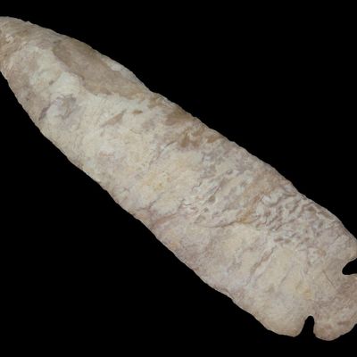 5 9/16" Dovetail, Clark Co., Kentucky