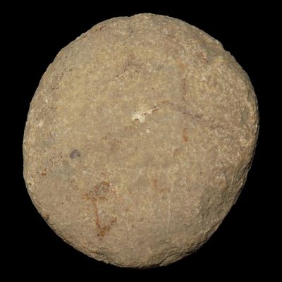 Sale Photo Thumbnail #305: 4 1/4" Discoidal / Hammerstone, St. Charles Co., Missouri, Found by Ronald Knowles