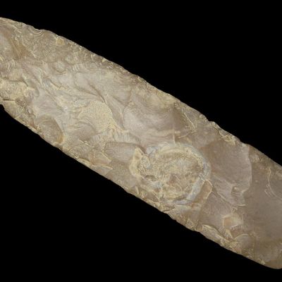 Sale Photo Thumbnail #104: 9" Wadlow Blade, St. Charles Co., Missouri, Found by Ronald Knowles