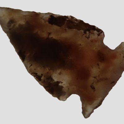 Sale Photo Thumbnail #521: Nice Translucent Bird Point, New Mexico