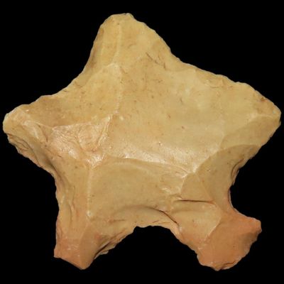 1 3/8" Winged Drill, St. Charles Co., Missouri, Found by Ronald Knowles