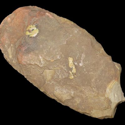 7 1/2" Polished Flint Spade, St. Charles Co., Missouri, Found by Ronald Knowles