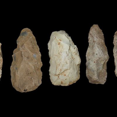 Sale Photo Thumbnail #284: Lot of 5 Flint Celts & Blades, St. Charles Co., Missouri, Found by Ron Knowles