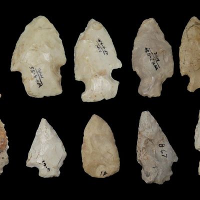 Sale Photo Thumbnail #274: Lot of Arrowheads, St. Charles Co., Missouri, Found by Ronald Knowles