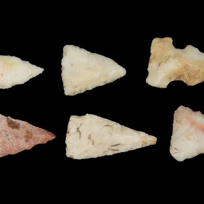 Sale Photo Thumbnail #140: Lot of Cahokia Bird Points, St. Louis Area, Found by Ron Knowles, Including Notched Examples