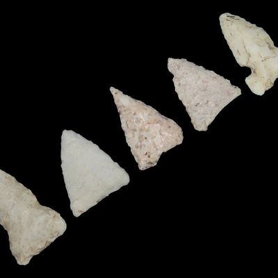 Sale Photo Thumbnail #128: Lot of Cahokia Bird Points, St. Louis Area, Found by Ron Knowles, Including Notched Examples