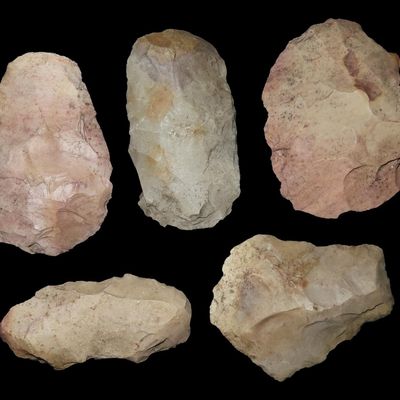 Sale Photo Thumbnail #270: Lot of 5 Flint Celts & Blades, St. Charles Co., Missouri, Found by Ron Knowles