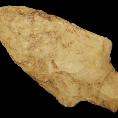 2 15/16" Dickson, St. Charles Co., Missouri, Found by Ronald Knowles