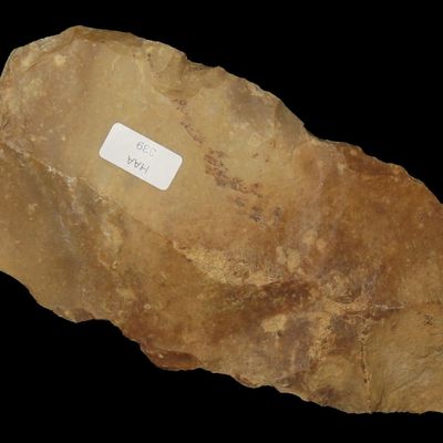 Sale Photo Thumbnail #337: 8 1/2" French Livres de Beurre Neolithic Flint Blade Core, Recovered in Europe, Reported 7,000-8,500 Years Old