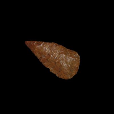 Sale Photo Thumbnail #691: Colorful Orange Jasper / Agate Leaf Blade Bird Point, New Mexico