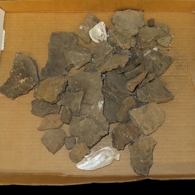 Sale Photo Thumbnail #494: Large "Sack Pot" with Pottery Shards and Shells, Southern Missouri, Found Together by Ron Knowles