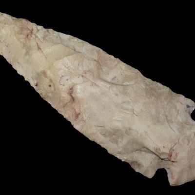Sale Photo Thumbnail #285: 4" Dovetail, St. Charles Co., Missouri, Found by Ronald Knowles
