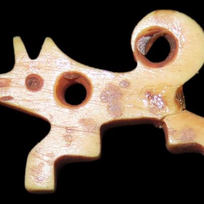 Sale Photo Thumbnail #220: Wolf Effigy Pendant, Arizona, Anasazi / Mimbres / Hohokam